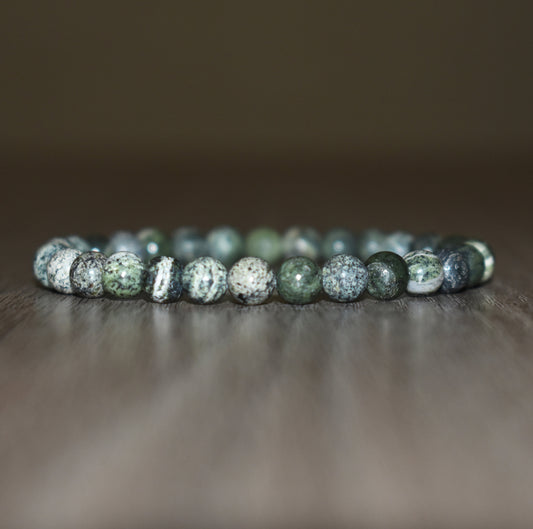 6mm Green Zebra Jasper Bracelet